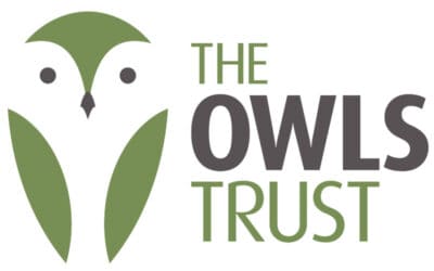 Vote for NWBT – Charity of the Month!