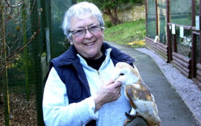 News from Jenni – and stuff about barn owls