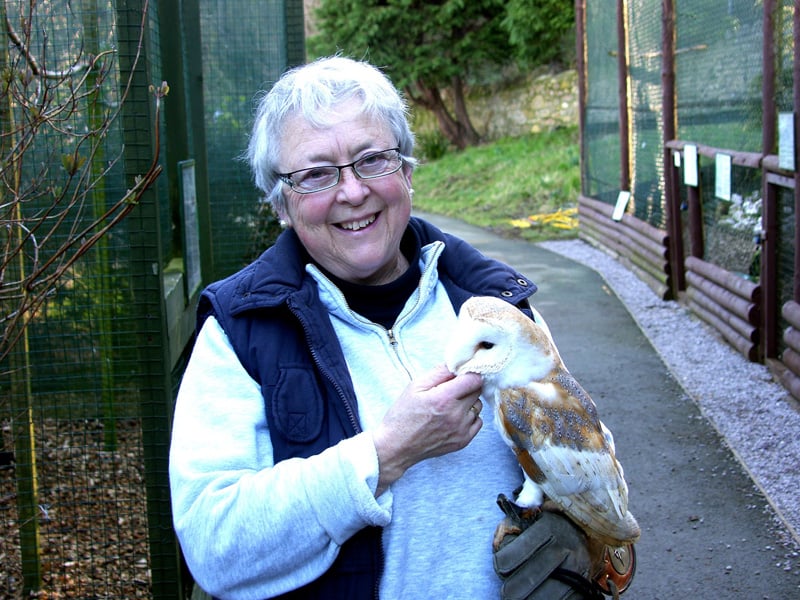 News from Jenni – and stuff about barn owls