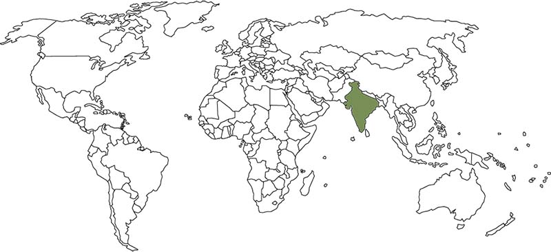 The Owls Trust. Adopt Baldrick, Bengal Eagle Owl. Distribution map.