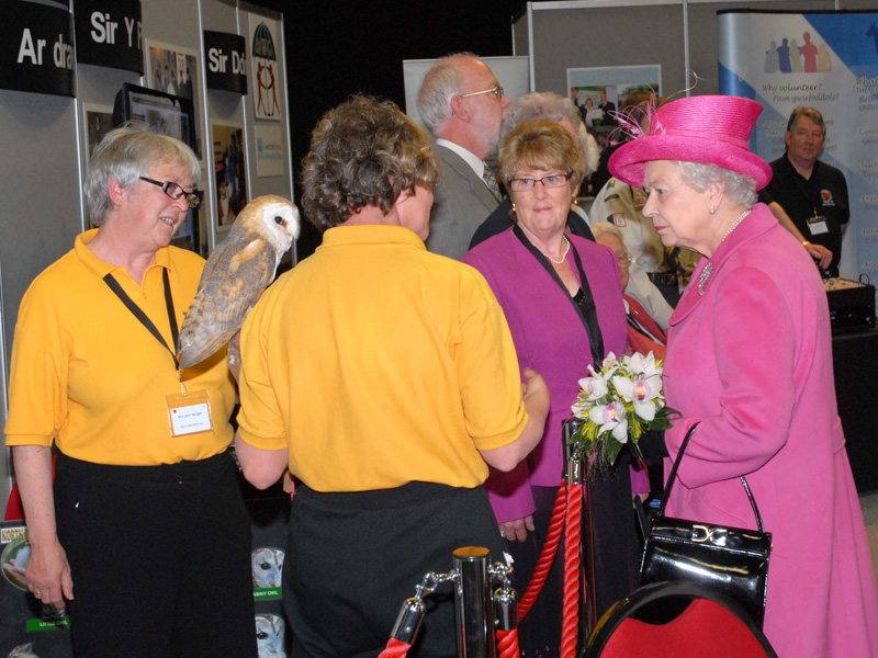 The Owls Trust Meets The Queen