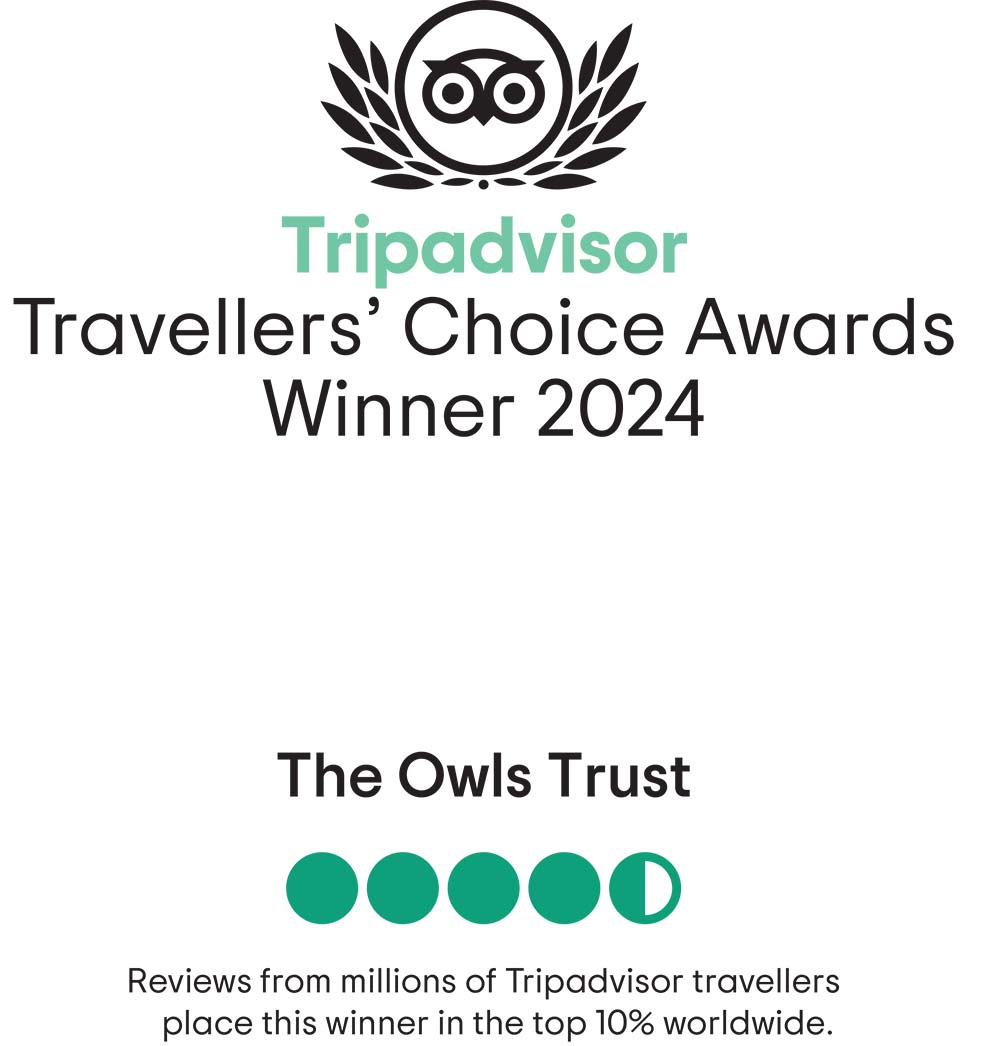 Travellers Choice Award Winner 2024 from Trip Advisor.